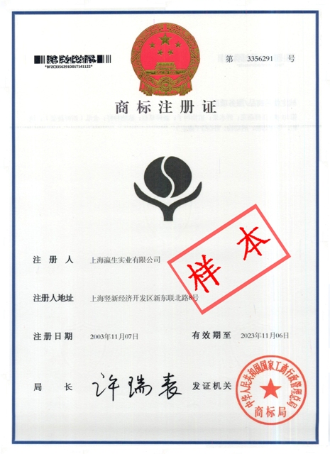 東莞專業快捷商標代理注冊與知識產權事務代理全面指南